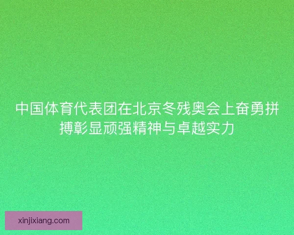 中国体育代表团在北京冬残奥会上奋勇拼搏彰显顽强精神与卓越实力