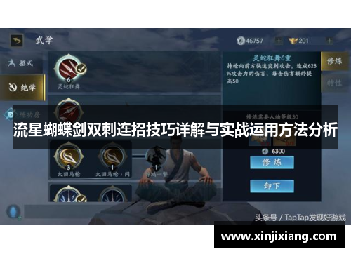 流星蝴蝶剑双刺连招技巧详解与实战运用方法分析